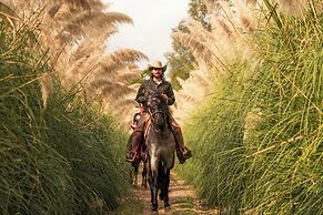 Rancho con Caballos El Reencuentro