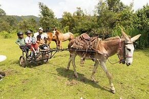 Rancho con Caballos El Reencuentro