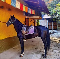 Rancho con Caballos El Reencuentro