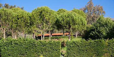 Finca La Sayuela