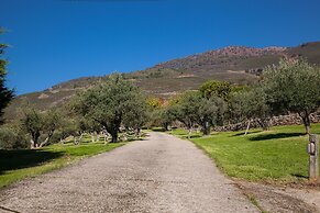 Finca La Sayuela