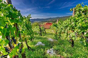 Vineyard Cottage Bahor