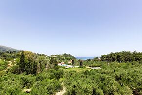 Anemomylos Studios