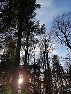 Ferienwohnung Urlaub mit Aussicht