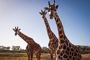 Holiday Inn Werribee by IHG