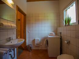 Chalet in Dachstein West With Shared Pool