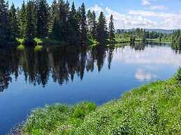 Holiday Home in Sälen