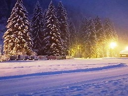 Chalet in Dachstein West With Shared Pool