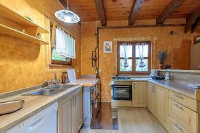 Chalet Zavrh with Private Heated Pool