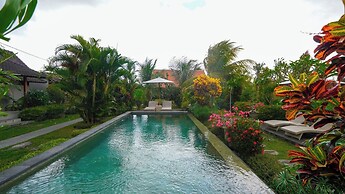 Green Coconut Cottage