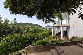 Apartments Miskovic