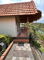 NG Sweet Home