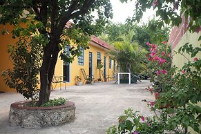 Casa Cuevas & Amaro
