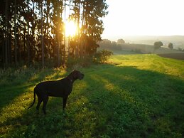 Wampendobler Paradies