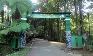Villa Patih