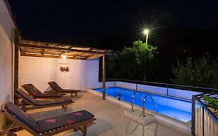 Villa Dalmatian Gem