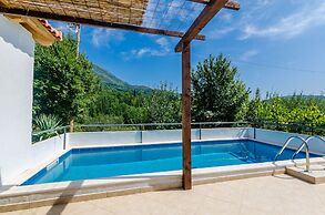 Villa Dalmatian Gem