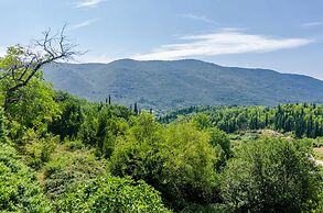 Villa Dalmatian Gem