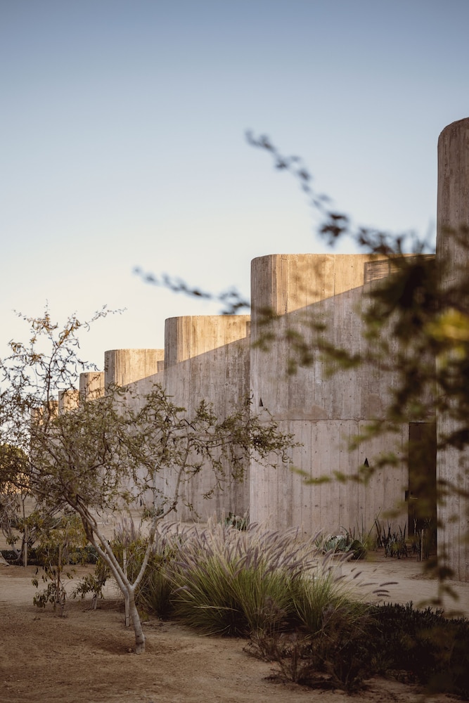 Paradero Todos Santos - Exclusive Experiences