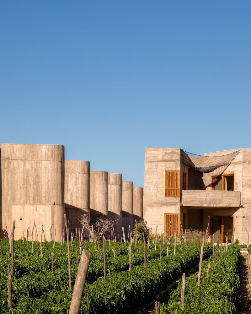 Paradero Todos Santos - Exclusive Experiences