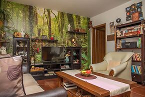 Apartments Ruza