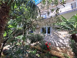 Apartments Danica