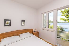 Apartment and Rooms Franka