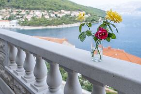Apartments Darija
