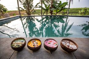Stunning Villas Complex, 12 BR, Canggu With Staff