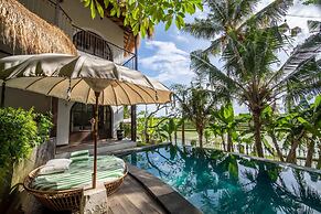 Tropical Private Villa, 3 BR, Canggu Ricefield View