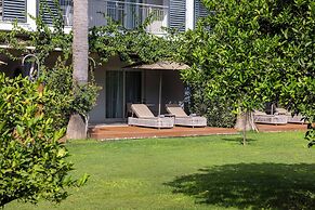 Barut GOIA