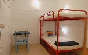 goSTOPS Lite Kochi