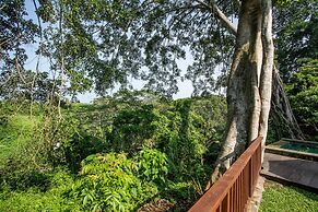 Luxury Jungle Villa, 3 BR, Ubud With Staff