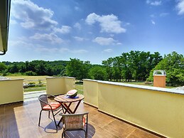 Villa in Pazin With Private Pool