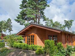 Comfortable Wooden Chalet in the Achterhoek
