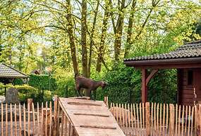 Comfortable Wooden Chalet in the Achterhoek