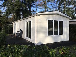Comfortable Chalet Located in Green Achterhoek