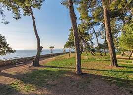 Villa in Novigrad With Private Pool and Beach