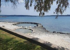 Villa in Novigrad With Private Pool and Beach