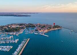 Villa in Novigrad With Private Pool and Beach