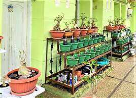 Buntusu Guest House