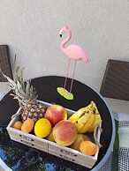 Apartment Mali Skoj