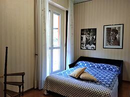 Pettirosso