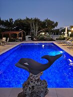 Louis Luxury Villa