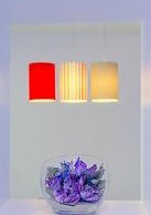 Studio Luce Mala