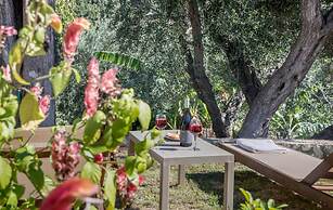 Andreas Hideaway Palaiokastritsa