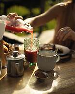 Green Land Bubble Glamping