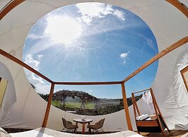 Green Land Bubble Glamping