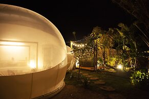 Green Land Bubble Glamping