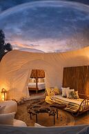 Green Land Bubble Glamping
